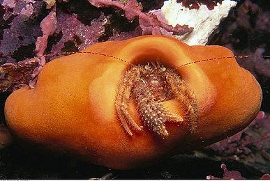 日式校园恐怖游戏《灵忆校祭》上架steam 10月登陆PS＆Switch