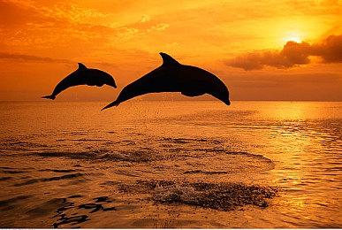 《消逝的光芒2》预告未来更新计划 明年2月公布