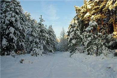 《怪物猎人：荒野》新活动任务来袭 历战王煌雷龙登场
